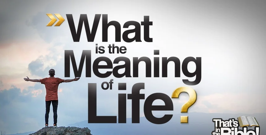If there is nothing after death, what is the point of life