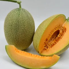 爱吃哈密瓜